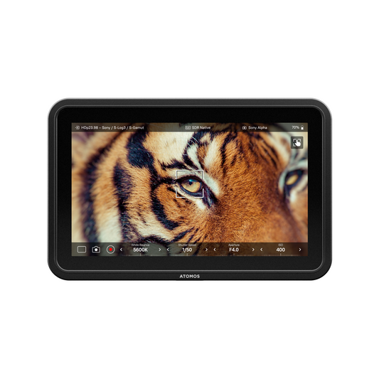 Atomos SHINOBI 7 II Moniteur