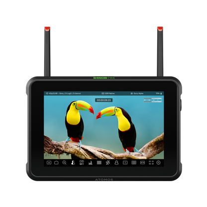 Moniteur Atomos SHINOBI 7 RX