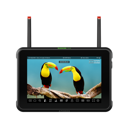 Moniteur Atomos SHINOBI 7 RX