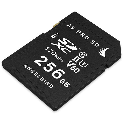 CARTE SD UHS II V60 256GB