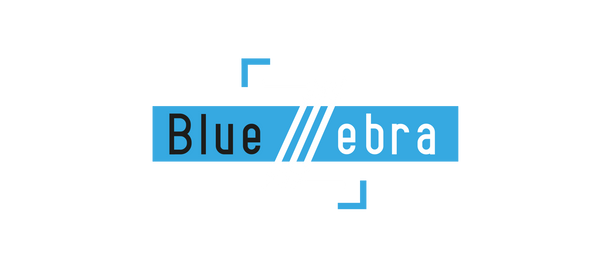 Blue Zebra Shop