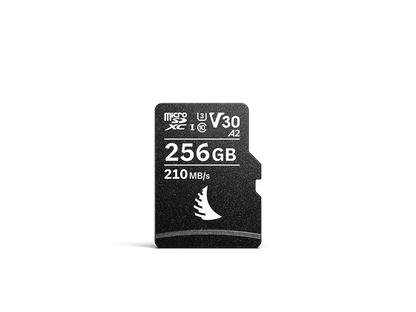 Carte AV PRO microSD MK2 V30
